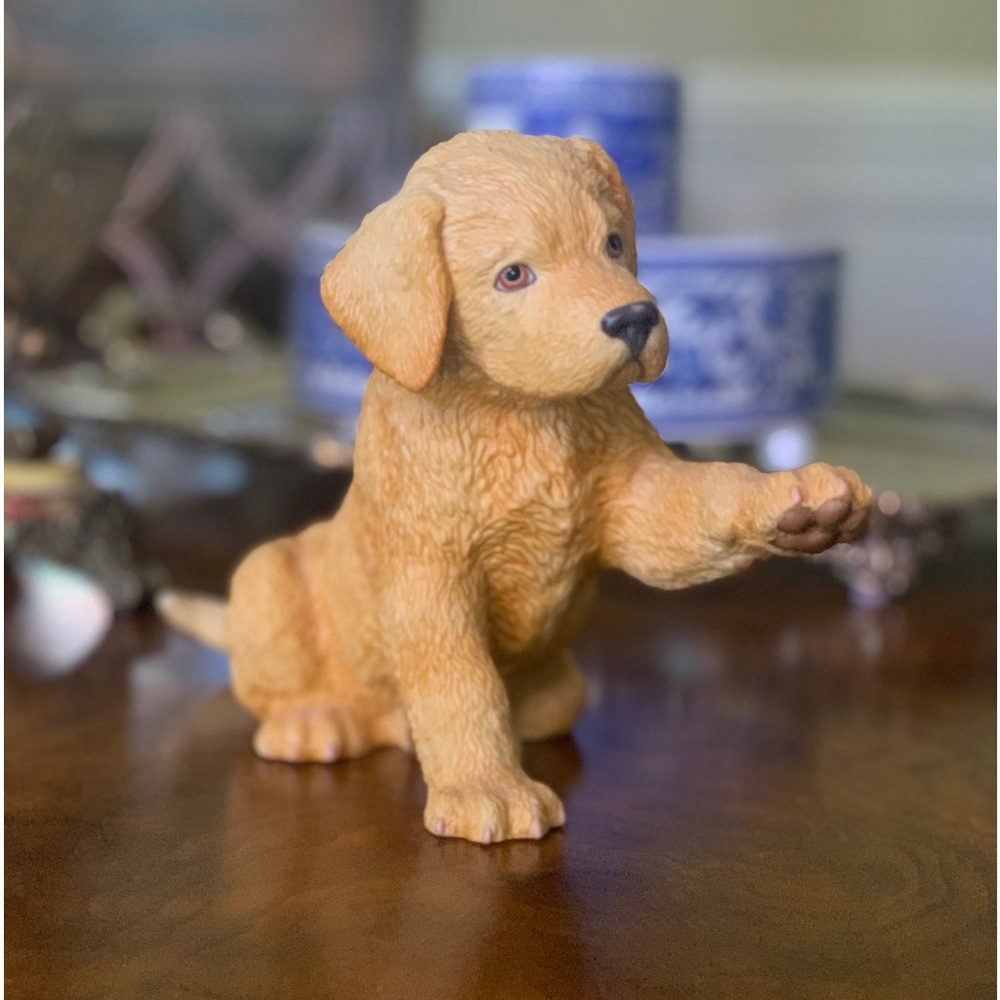 Lenox Yellow Labrador Retriever - Picture 5 of 14